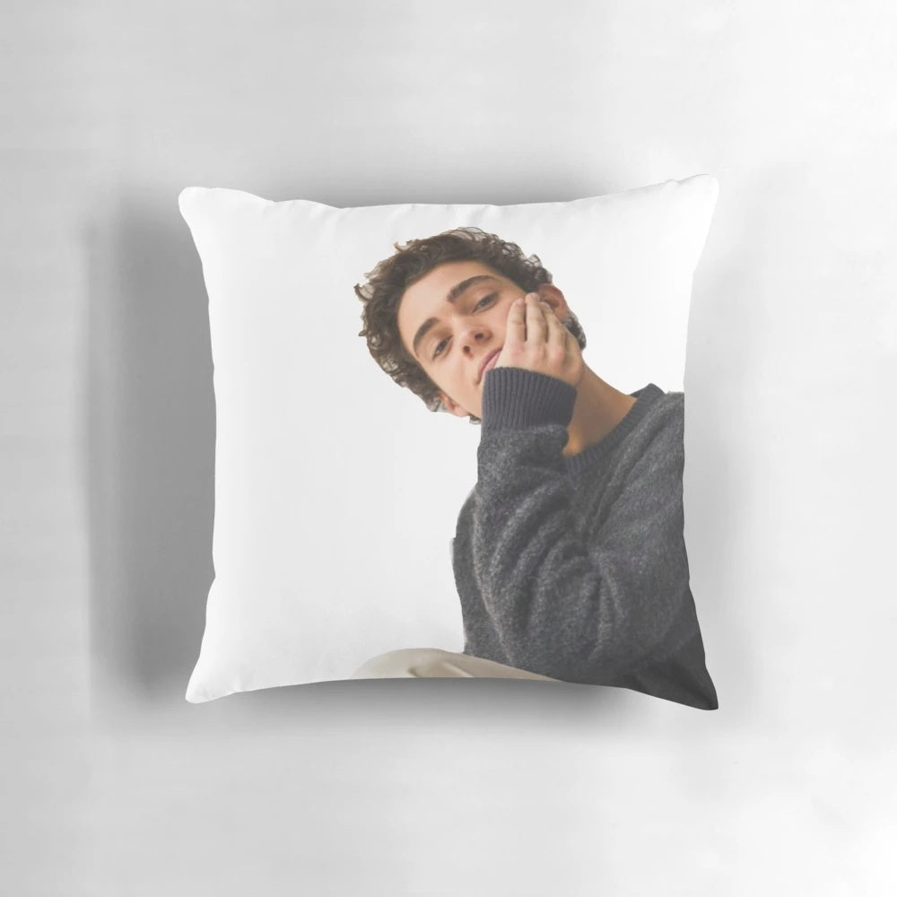 Joshua Basset inspired decorative pillow with high school musical theme