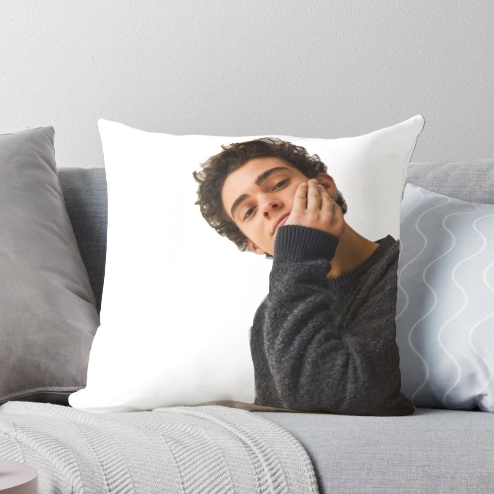 Joshua Basset inspired decorative pillow with high school musical theme