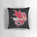 SUNY Oneonta Red Dragons-inspired college pillow with vibrant graphic design