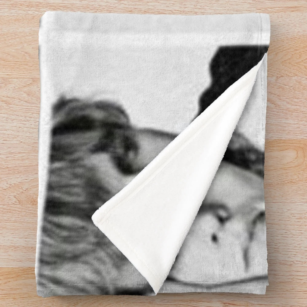 Ross Lynch Inspired Plush Blanket