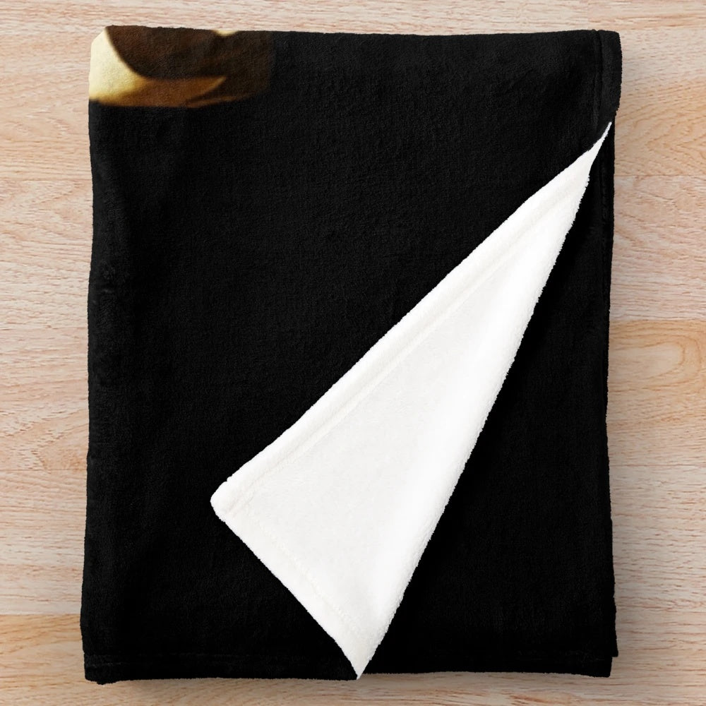 Sparks band inspired plush blanket