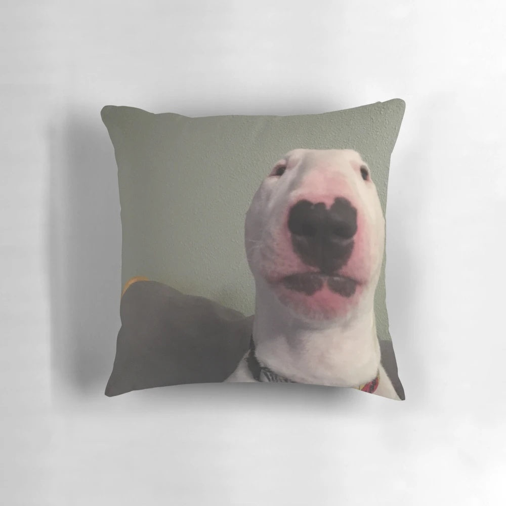 Stylish decorative pillow featuring the popular "Walter" dog meme design, showcasing a bull terrier.