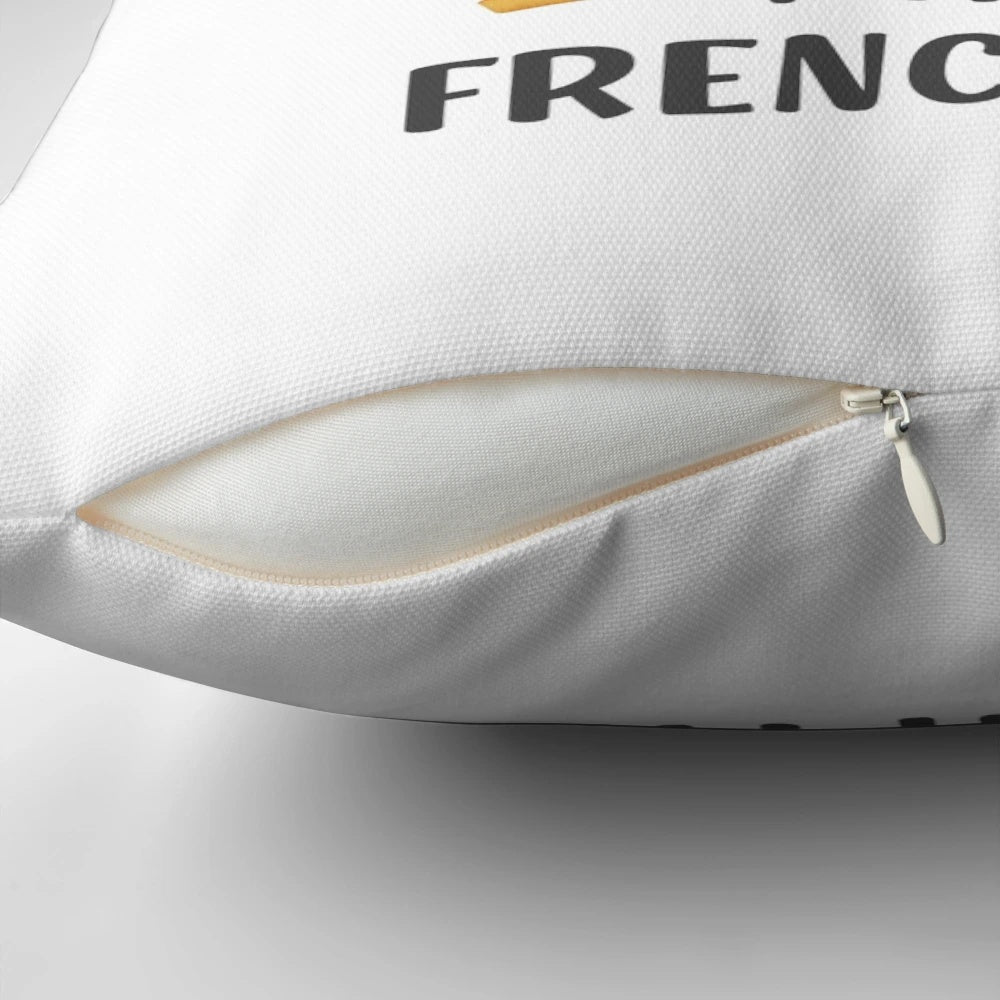 Summertime seagull meme design on a pillow, with the phrase 'Happier Than a Seagull with a French Fry