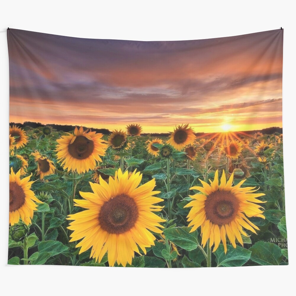 Sunflower field tapestry with vibrant yellow flowers at sunset