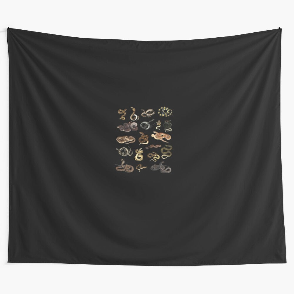 Educational snake species graphic printed on a comfortable hoodie tapestry