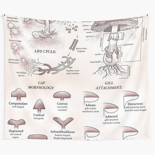 Vintage-style mushroom anatomy and identification illustration on a modern tapestry