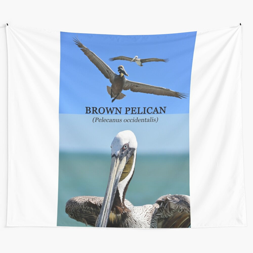 Brown pelican in flight over coastal waters