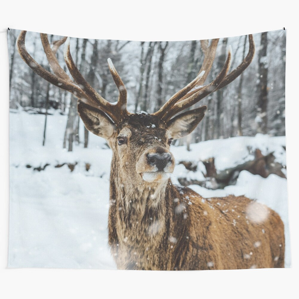 Deer standing in a snowy winter landscape, capturing the majestic beauty of nature