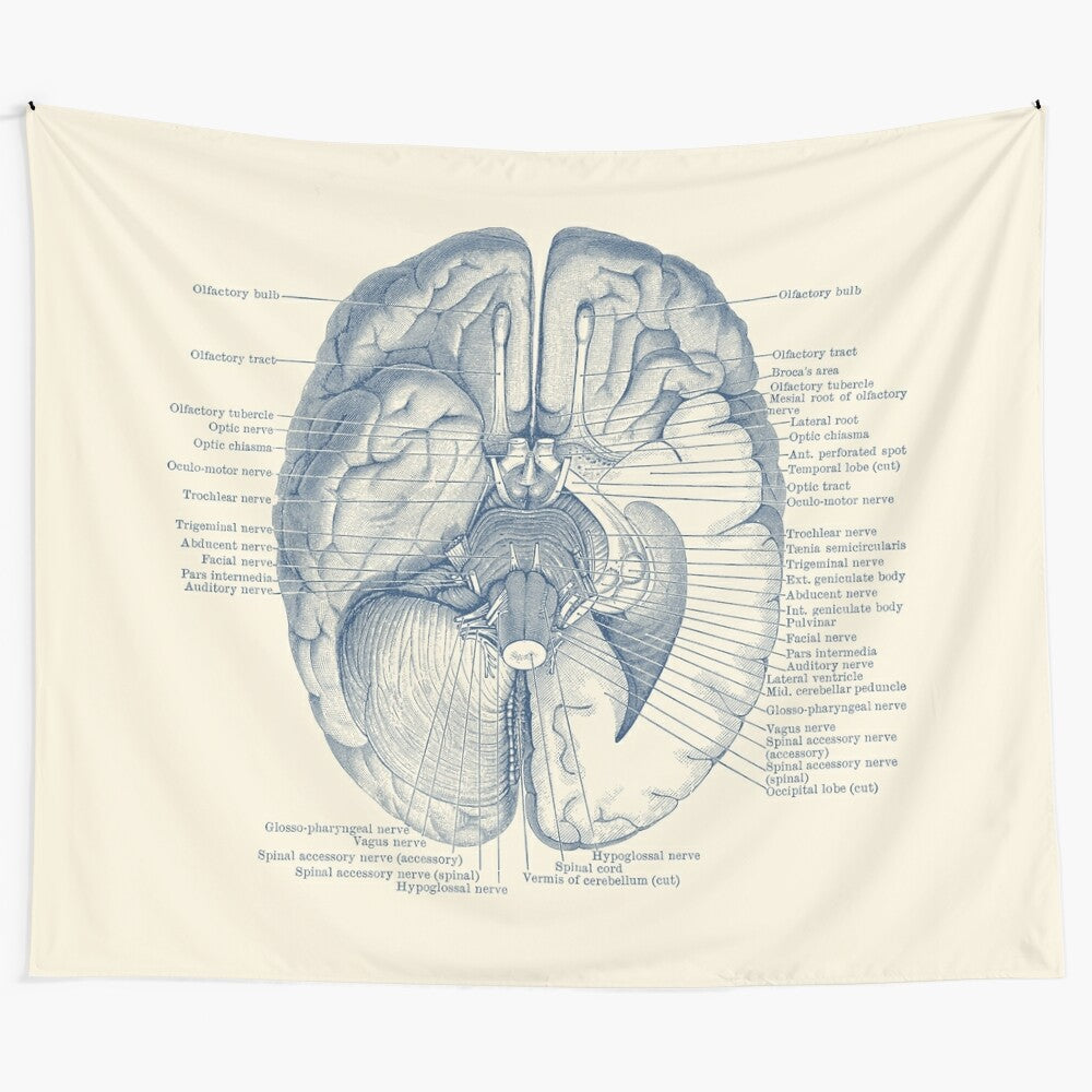 Vintage-style tapestry featuring a detailed brain and nervous system diagram