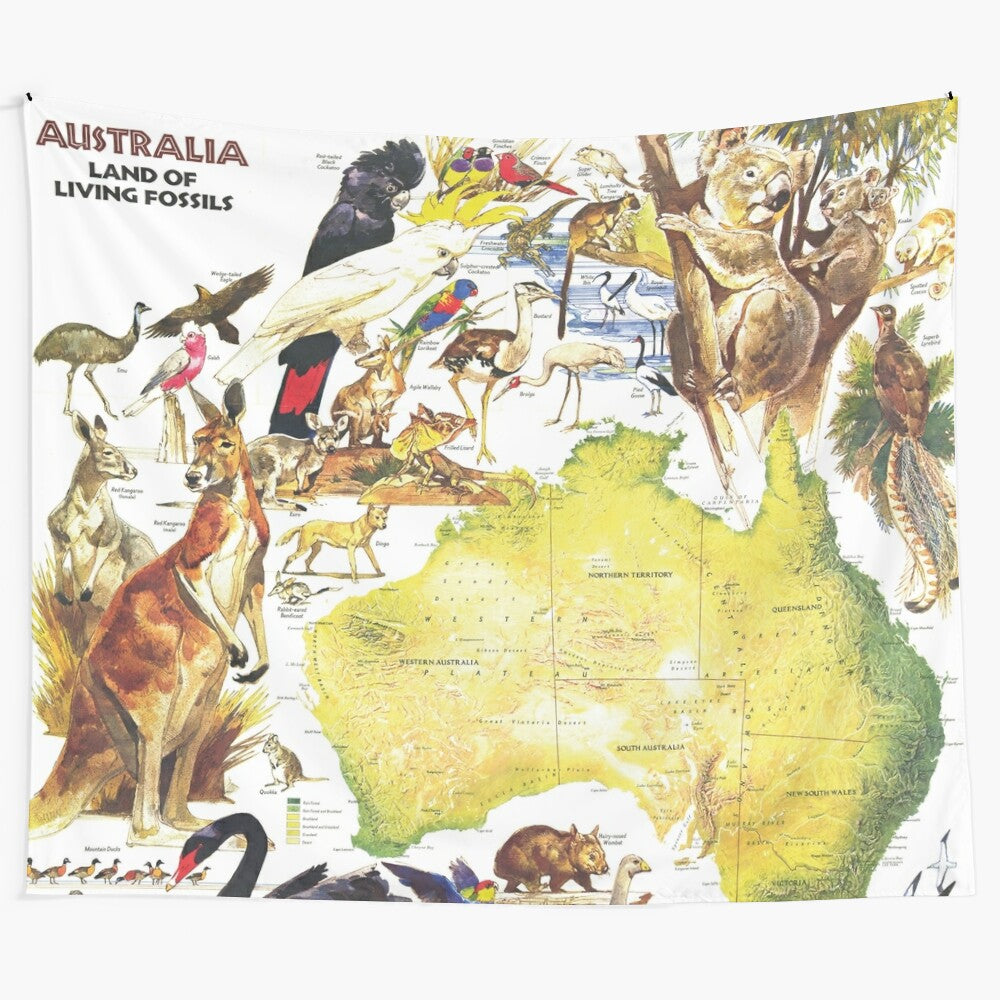 Vintage-style map featuring Australian animals and wildlife