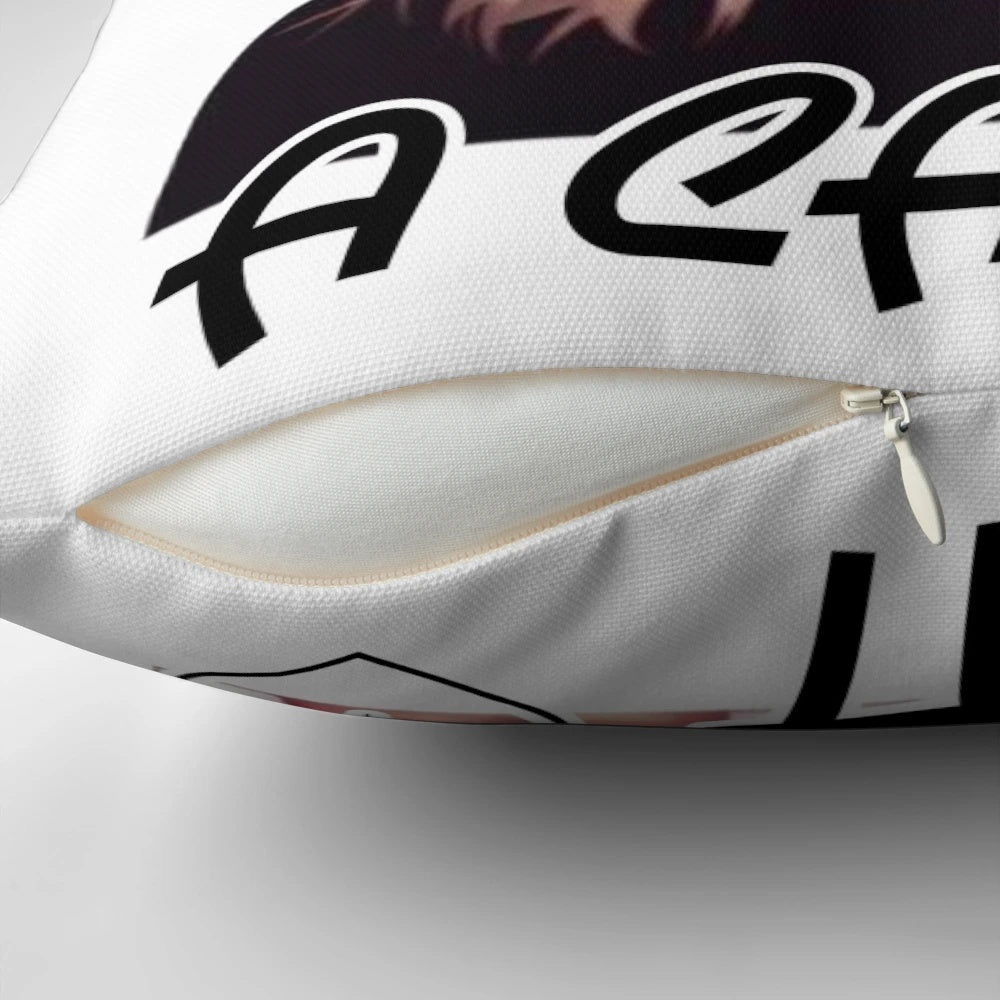 Cozy pillow featuring a cat design and the "Karma is a Cat" lyrics from Taylor Swift's Midnights 3AM Edition album