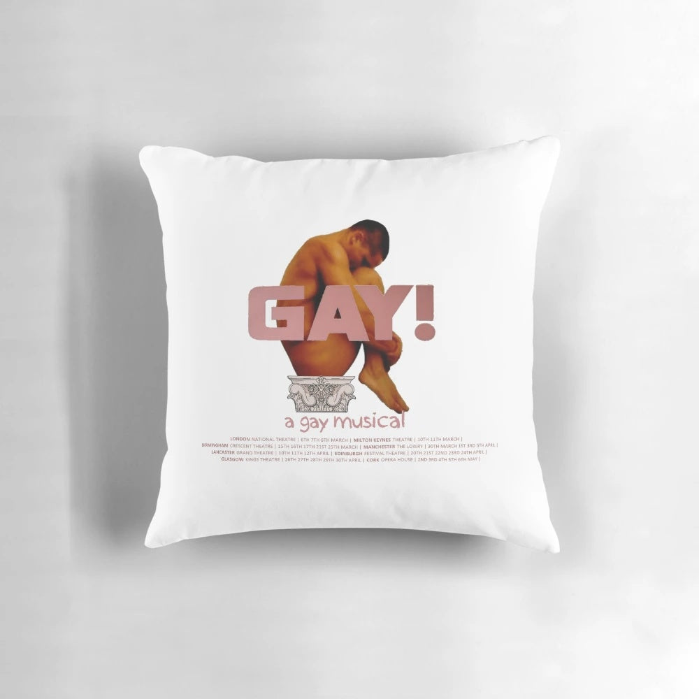 The IT Crowd' inspired 'Gay! A Gay Musical' tour merchandise throw pillow
