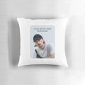 Pierre Garnier Pillow featuring the design "The Ones We Were