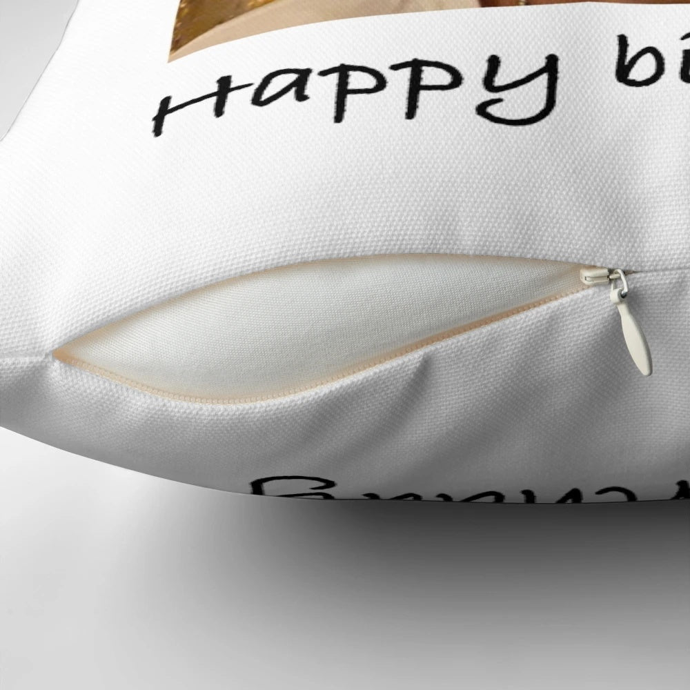 Soft, plush pillow featuring Jeremiah Fisher from the popular book and TV series "The Summer I Turned Pretty