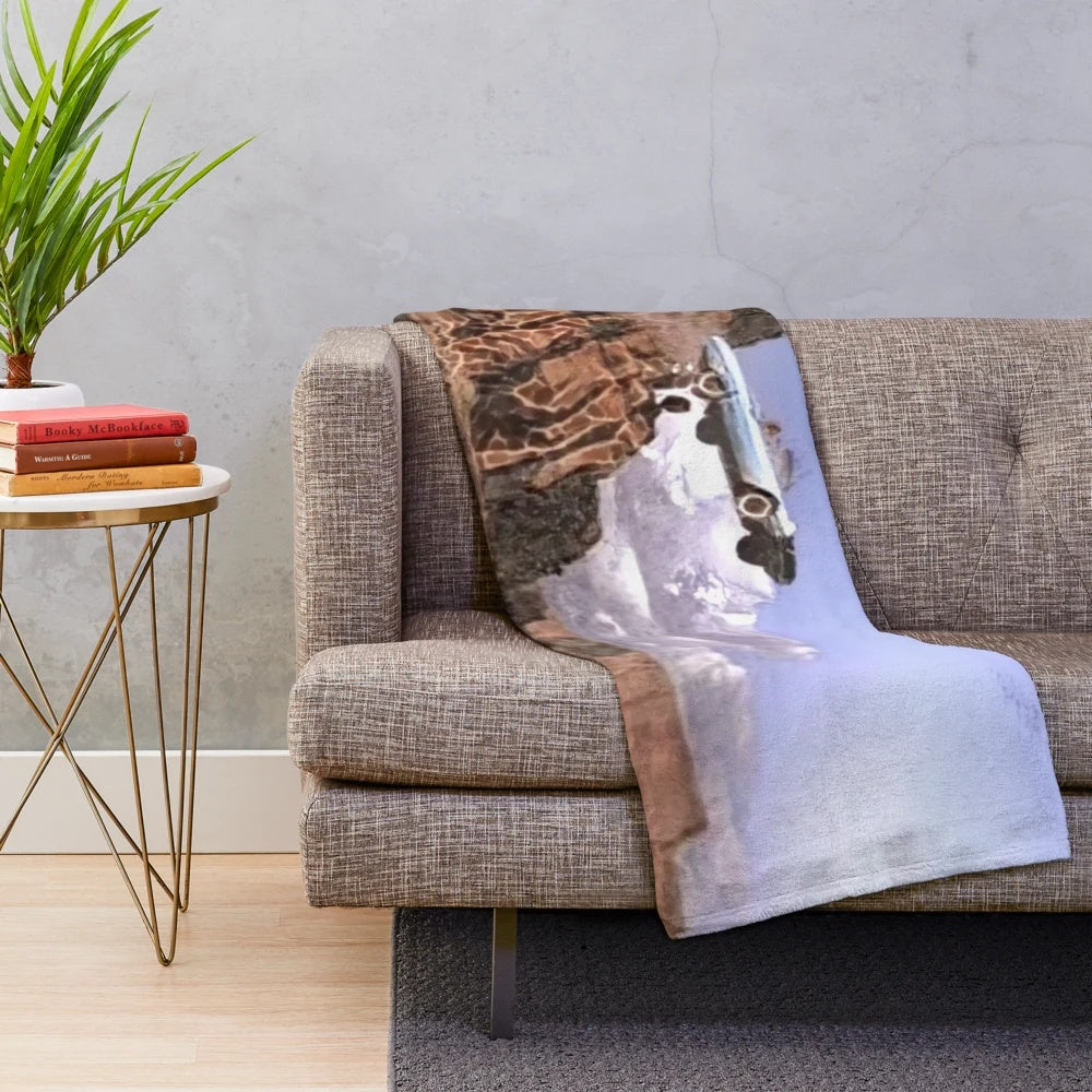 Thelma & Louise inspired plush blanket featuring the iconic car jump scene