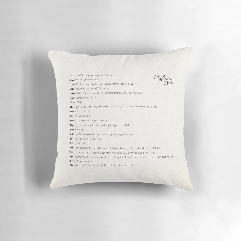 "Call Me by Your Name" movie scene pillow featuring Timothee Chalamet and Armie Hammer in a romantic embrace.