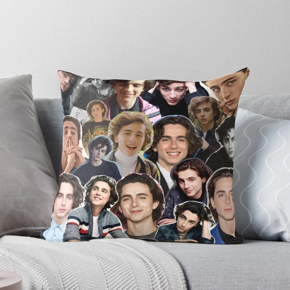 Timothée Chalamet 'Call Me By Your Name' inspired collage design printed on a soft, comfortable pillow