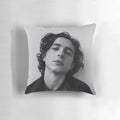 Timothée Chalamet inspired decorative throw pillow