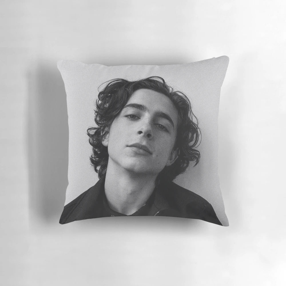 Timothée Chalamet inspired decorative throw pillow