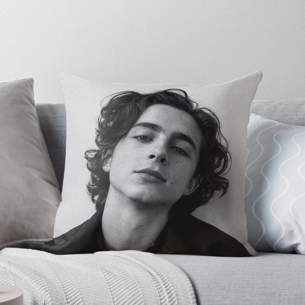 Timothée Chalamet inspired decorative throw pillow
