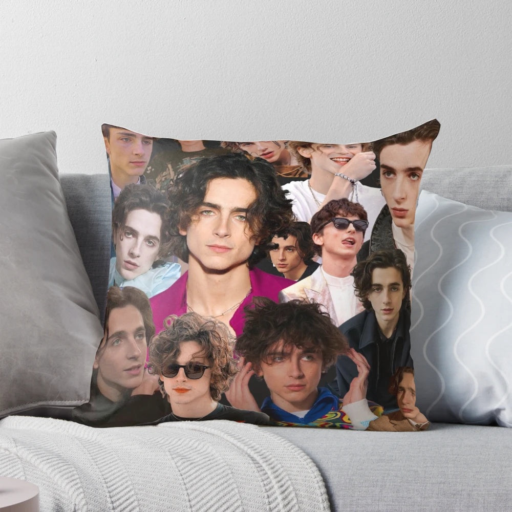 A collage-style throw pillow featuring the handsome Hollywood actor Timothee Chalamet