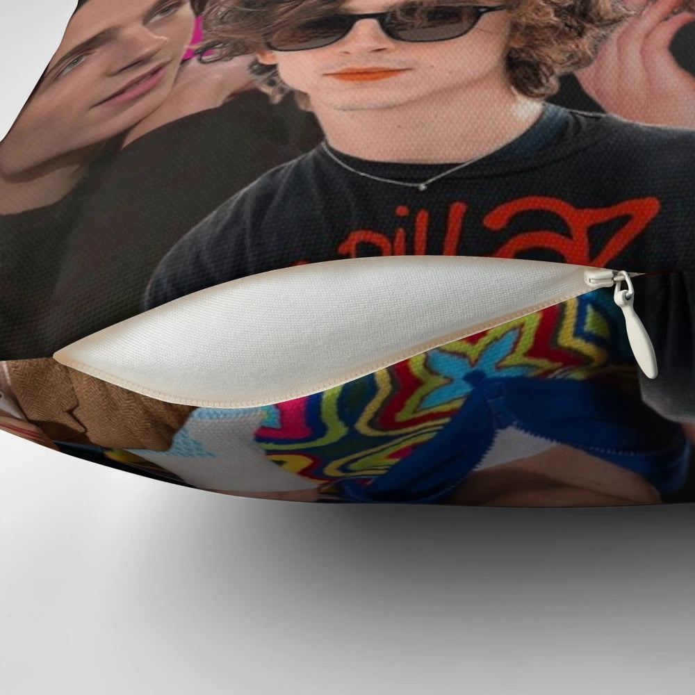 A collage-style throw pillow featuring the handsome Hollywood actor Timothee Chalamet