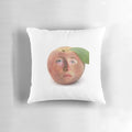 Timothee Chalamet meme inspired peach-colored pillow