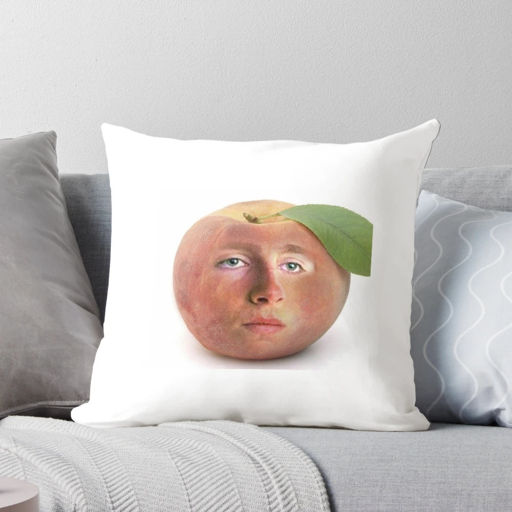 Timothee Chalamet meme inspired peach-colored pillow