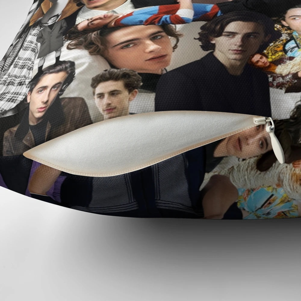 Timothee Chalamet inspired throw pillow with collage design