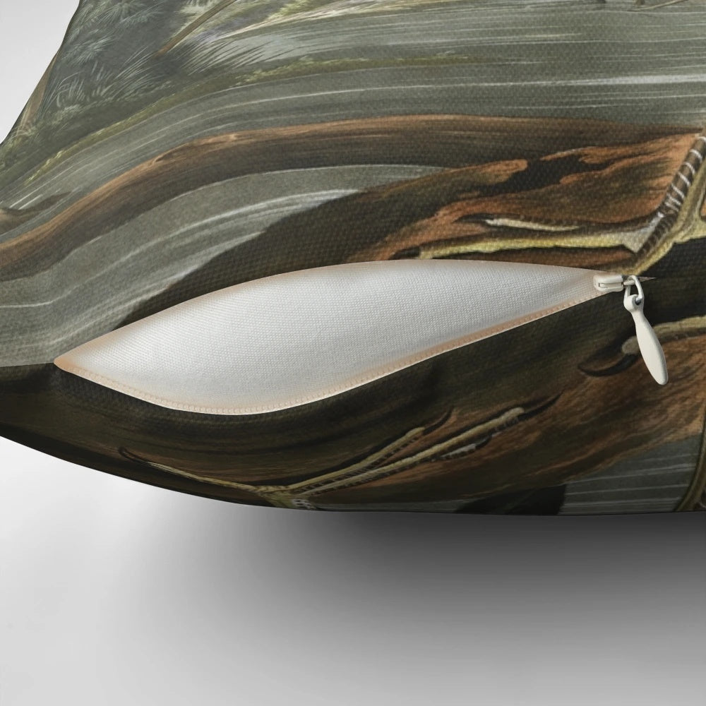 Tricolored Heron Pillow featuring John James Audubon's Artwork