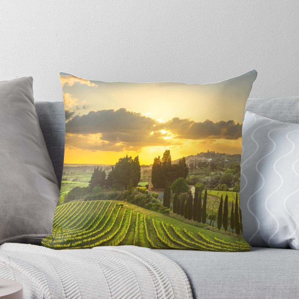 Pillow featuring a panoramic view of the vineyards and rolling hills of the Maremma region in Tuscany, Italy.
