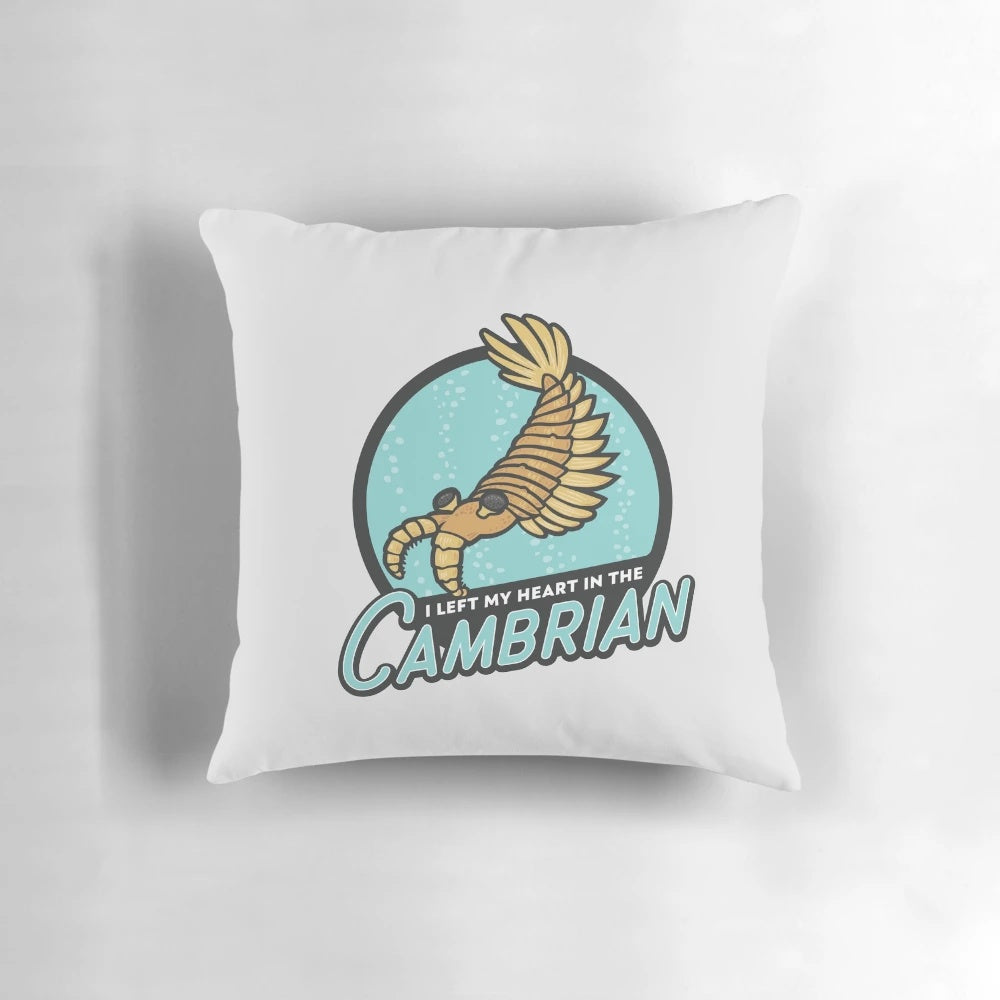 A decorative pillow featuring a Cambrian-era fossil design, perfect for science and nature lovers.