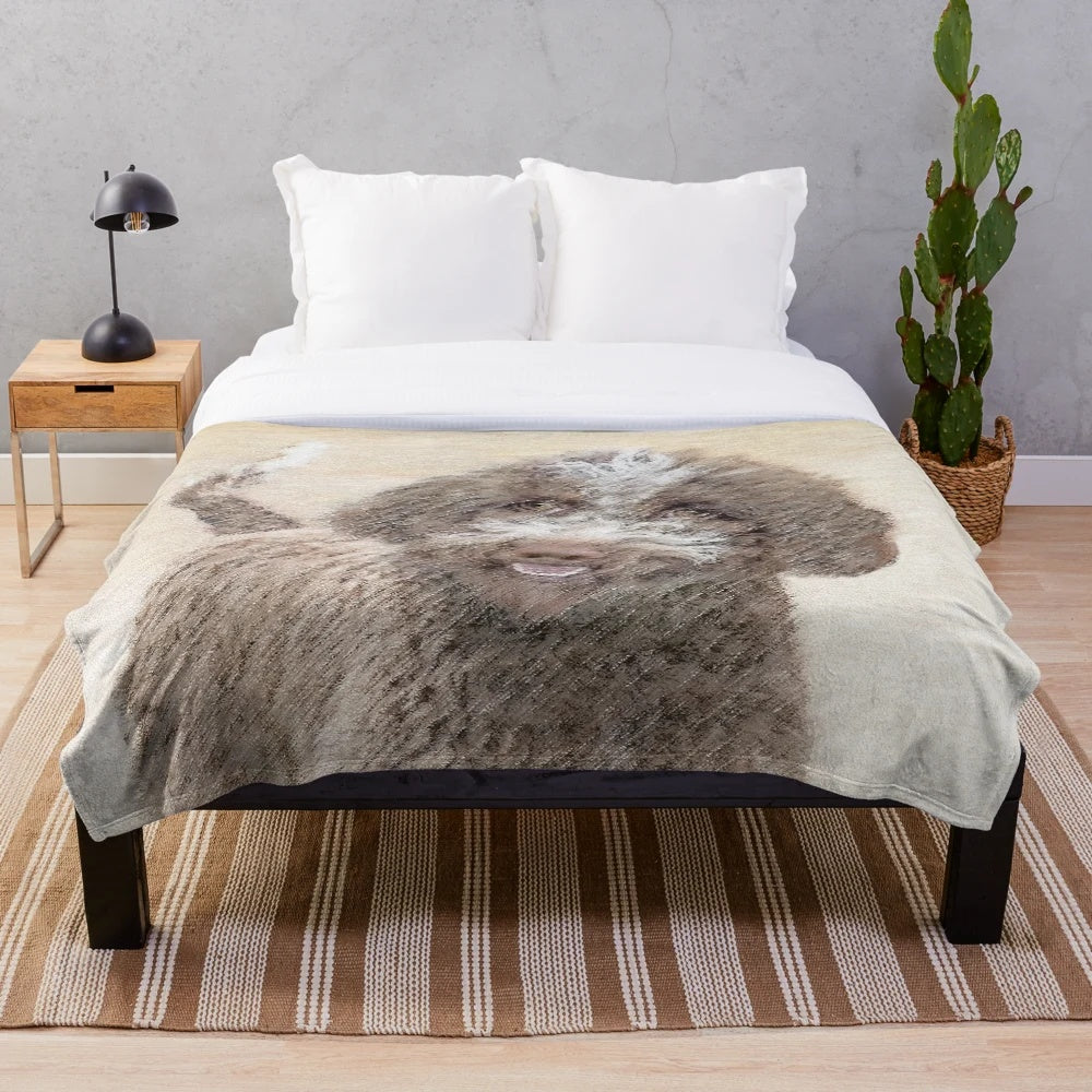 Lagotto Romagnolo dog portrait on a soft, cozy plush blanket
