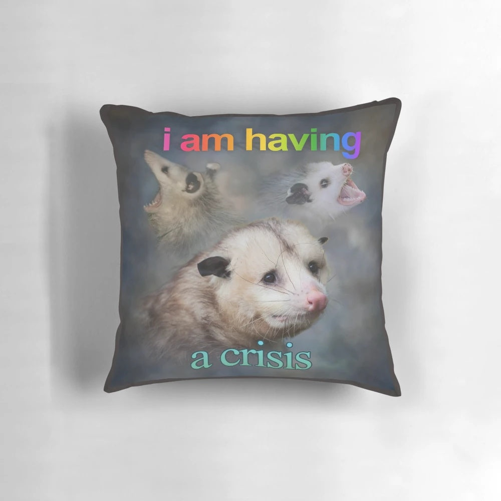 Decorative throw pillow featuring a humorous word art design with an opossum character.