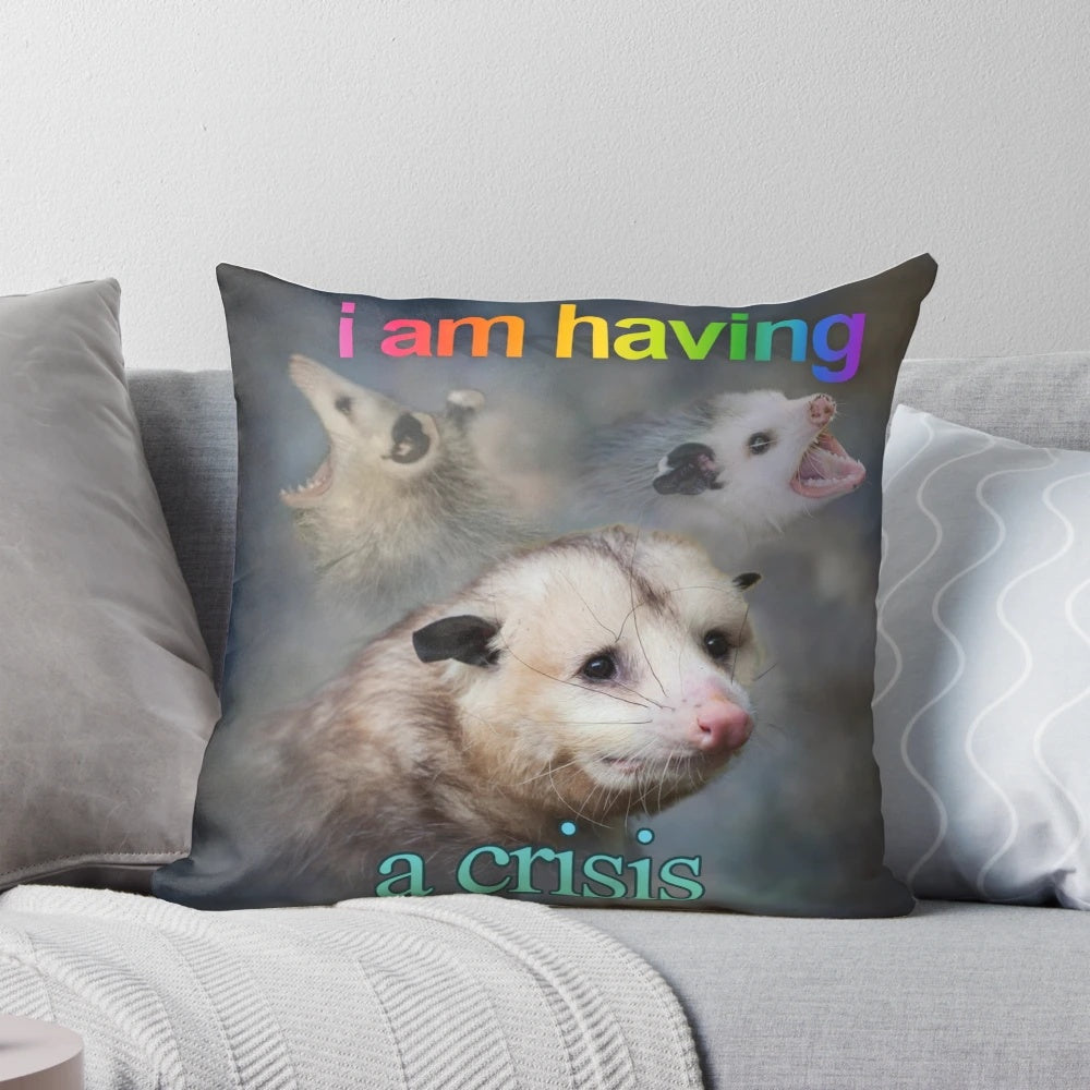 Decorative throw pillow featuring a humorous word art design with an opossum character.