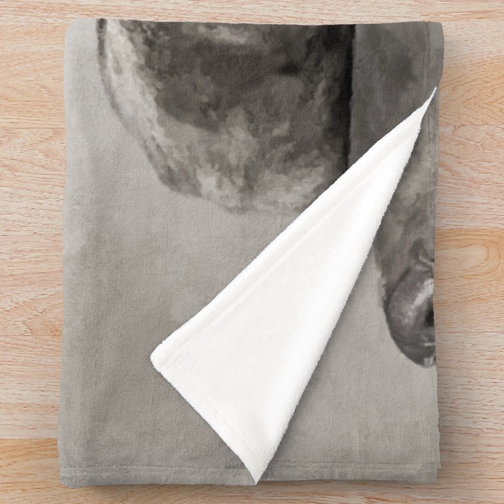 Weimaraner dogs collage plush blanket