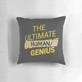 Plush pillow featuring a detective and genius character design inspired by the TV show Brooklyn Nine-Nine