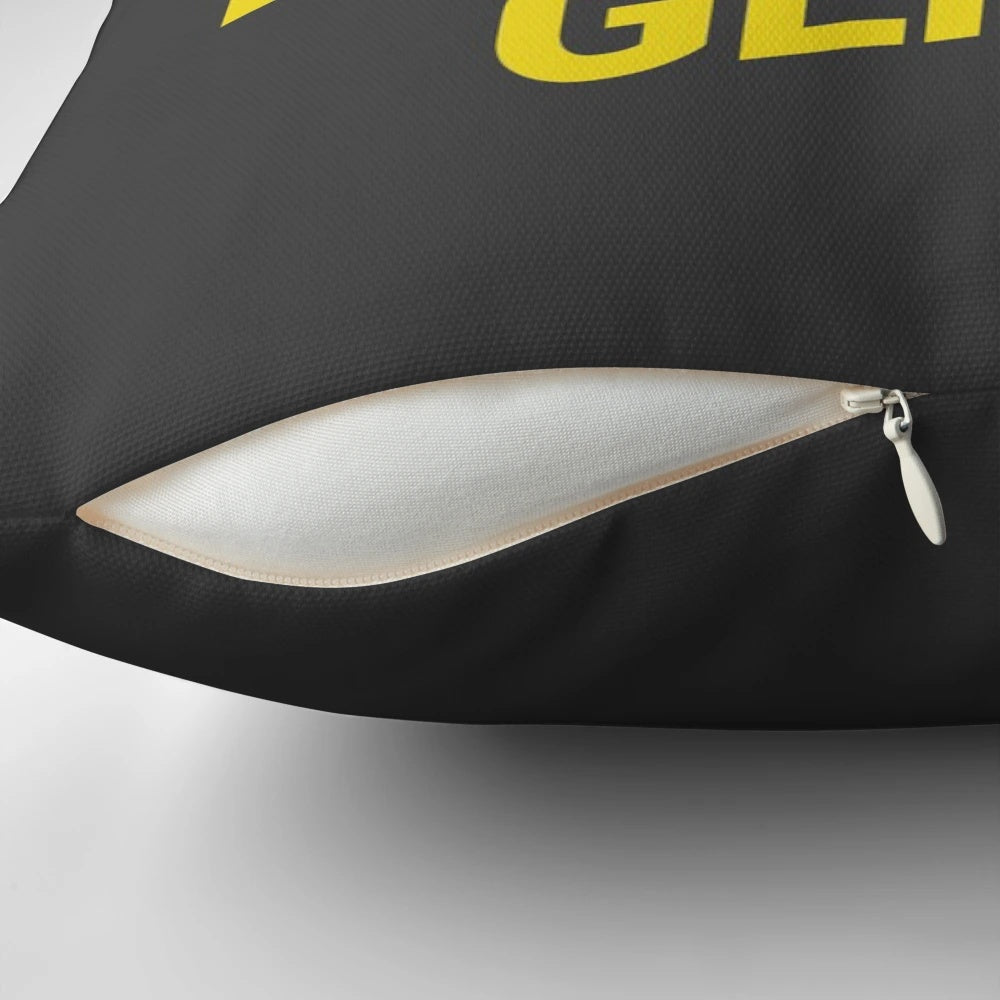 Plush pillow featuring a detective and genius character design inspired by the TV show Brooklyn Nine-Nine