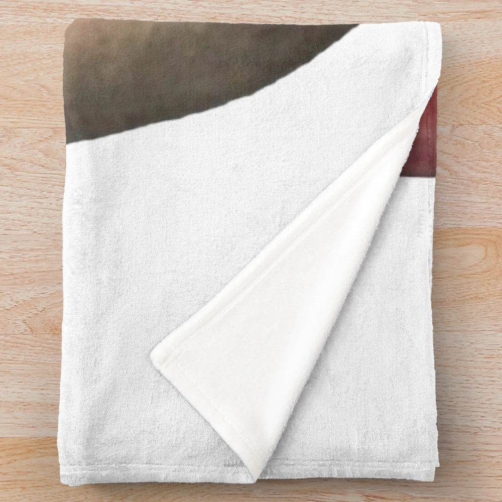 Upscaled Ricardo Milos inspired plush blanket