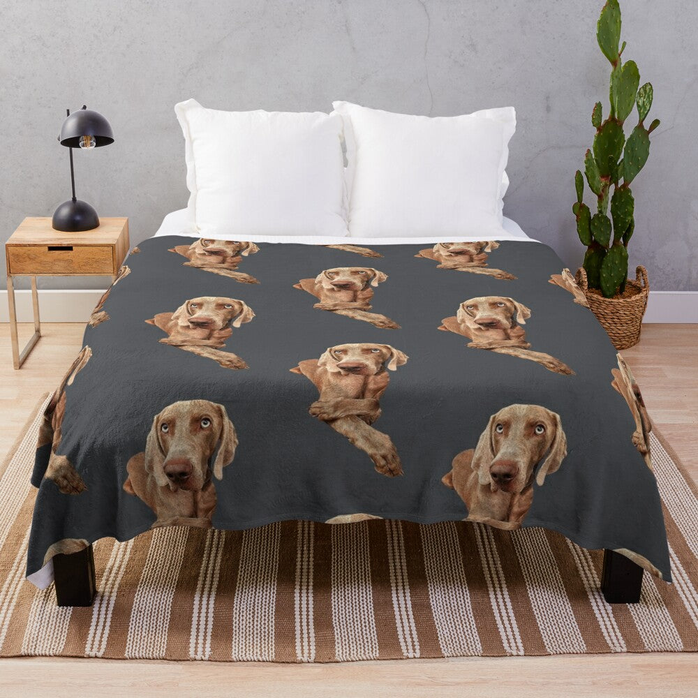 Weimaraner dog portrait on a cozy plush blanket