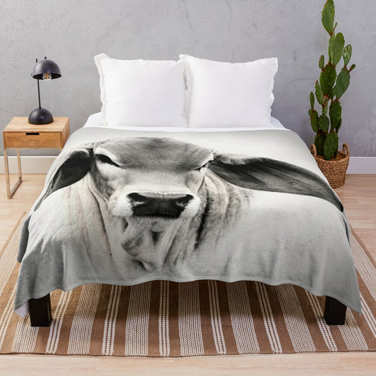 Brahman calf plush blanket with cute cow design