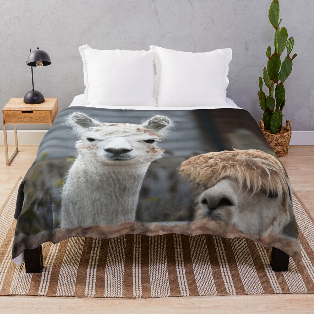 Curious alpacas printed on a soft, cozy plush blanket