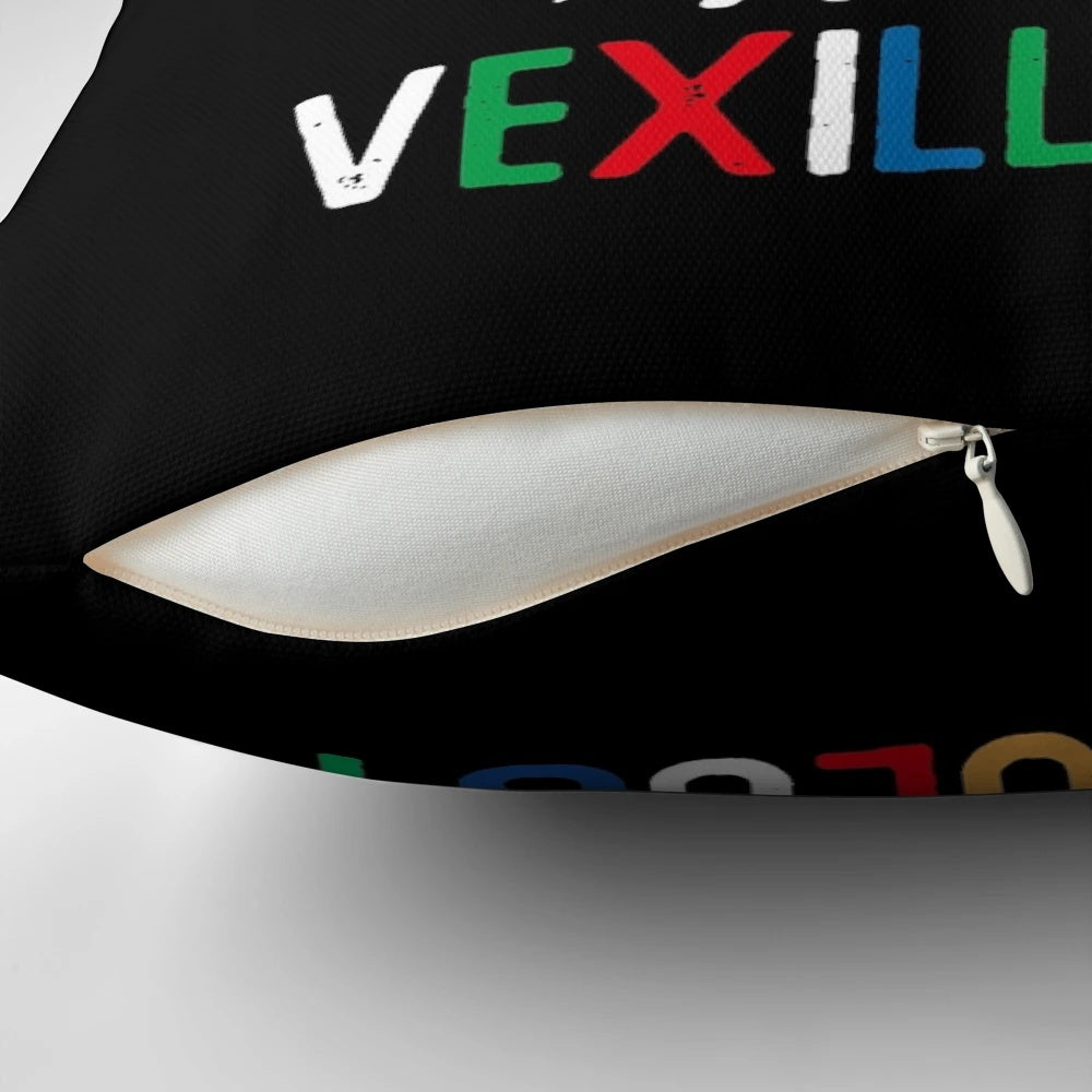 Vexillology flag collector pillow with love flag design