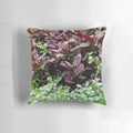 Alternanthera brasiliana flower pillow, featuring crimson and burgundy petals, perfect for adding a touch of natural beauty to any room.
