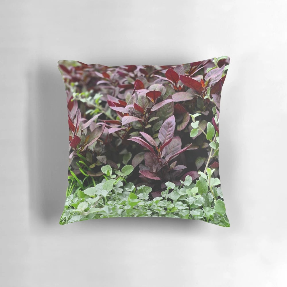 Alternanthera brasiliana flower pillow, featuring crimson and burgundy petals, perfect for adding a touch of natural beauty to any room.