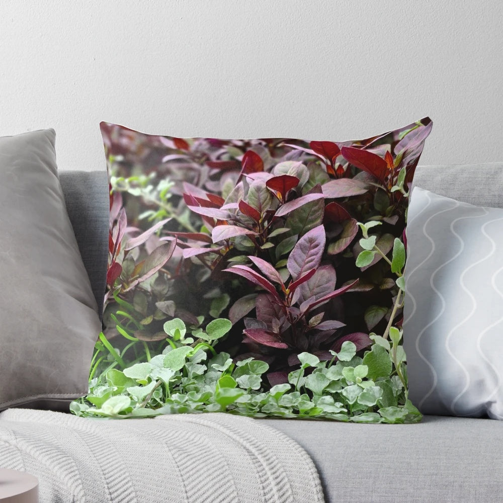 Alternanthera brasiliana flower pillow, featuring crimson and burgundy petals, perfect for adding a touch of natural beauty to any room.