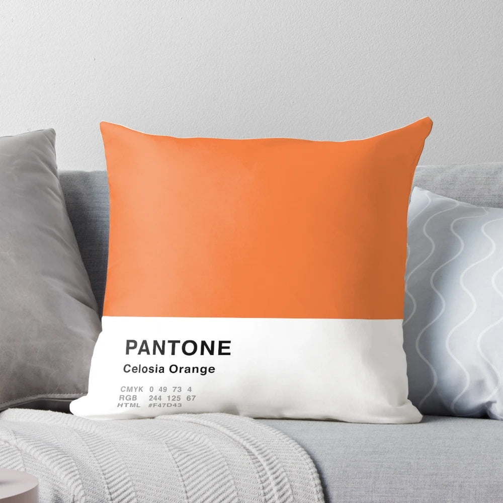Celosia orange pillow with a simple, contemporary design