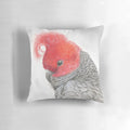 Stunning original watercolor design of a vibrant Gang-Gang Cockatoo on a throw pillow.