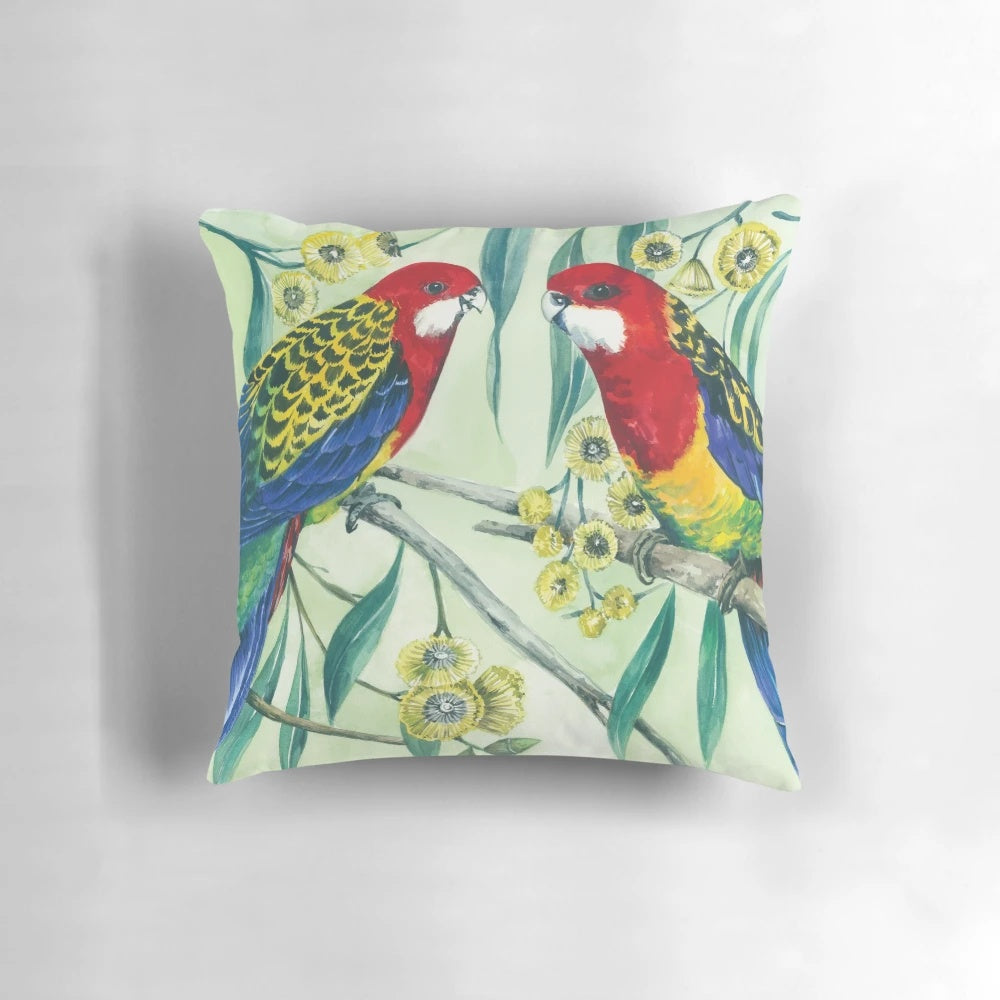 Colorful illustration of an eastern rosella, a native Australian parrot species