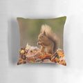 Red squirrel nestled in autumnal leaves on a pillow